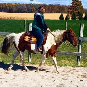 Meet your Posher, Ryan-meagan